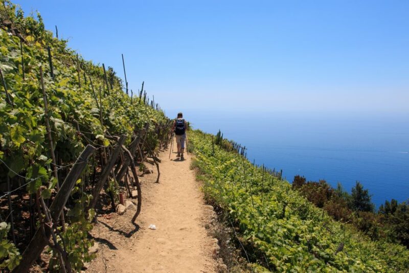 La Spezia: Cinque Terre Guided Hiking Tour - The Physical Challenge and Trail Conditions