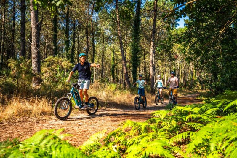 Labenne: guided forest tour with an instructor on an electric scooter - Key Points