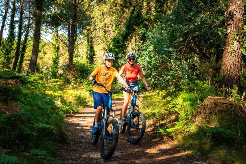 Labenne: guided forest tour with an instructor on an electric scooter - The Route Through Labenne’s Forests and Paths