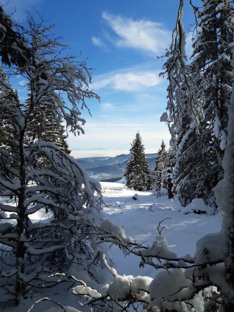 Lac Blanc: Snow Day Trip - Equipment Rental and Trail Navigation