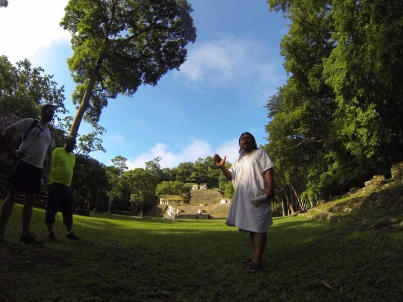 Lacandon Jungle Adventure and Bonampak Archaelogical Site - Explore the Lacandon Jungle and Mayan Ruins in a Full-Day Tour from Palenque