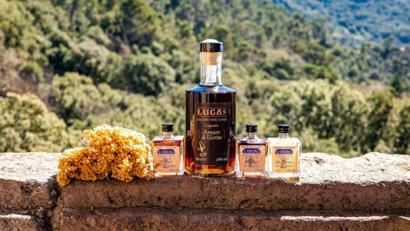 Laconi: chocolate and typical liqueurs tasting - Tasting Six Types of Sardinian Herbal Liqueurs