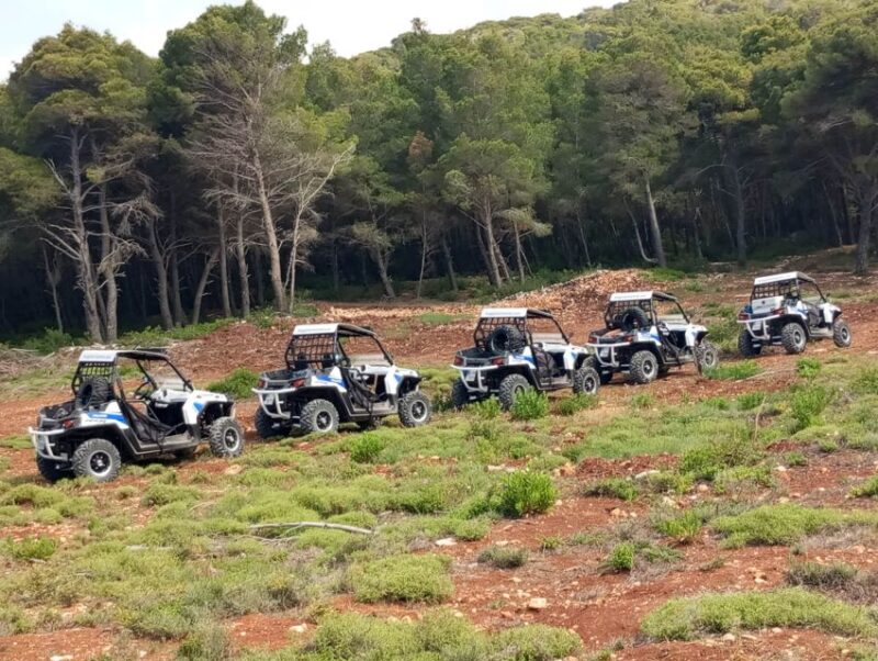 Laganas: Off-Road Buggy Adventure in Zakynthos with Lunch - Journey Through Loucha Valley and Village Charm