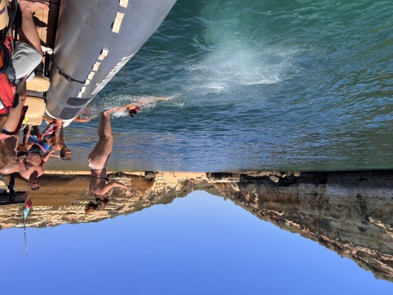 Lagoa: Benagil Caves & Praia da Marinha with biologist guide - Birdwatching Opportunities During the Cruise