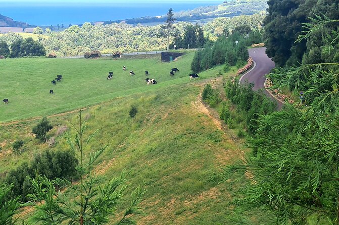 Lagoa do Fogo and Ribeira Grande Half Day Private Tour - Visiting Cerâmica Vieira: Traditional Pottery in São Miguel