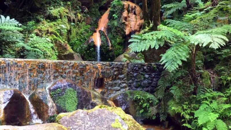 Lagoa do Fogo: Biologist-guided Volcano Geo Tour +Hotsprings - Practical Details: Logistics, Group Size, and What to Bring