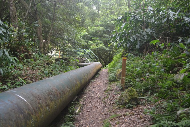 Lagoa do Fogo, Hike Salto do Cabrito and Hotsprings - Final Thoughts on the Lagoa do Fogo, Hike Salto do Cabrito and Hotsprings Tour