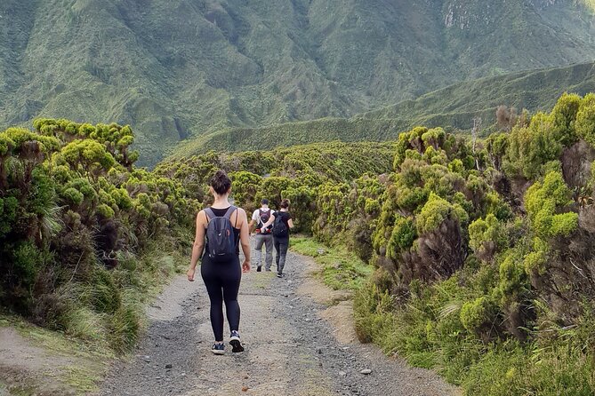 Lagoa do Fogo: Private Scenic Walking Tour - Reaching Lagoa do Fogo: The Island’s Largest Lake