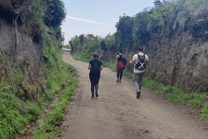 Lagoa do Fogo: Private Scenic Walking Tour - Relaxing at Praia Grande de Água D’Alto
