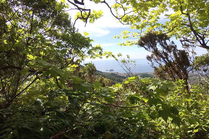 Lagoa do Fogo Walking Tour with Lunch from Ponta Delgada - Meeting Point at Picos de Aventura in Ponta Delgada