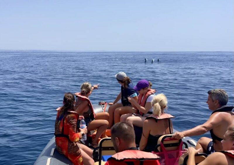 Lagoa: Dolphin Watching & Benagil Tour with Biologist Guide - Exciting Dolphin Watching and Cave Exploration in the Algarve