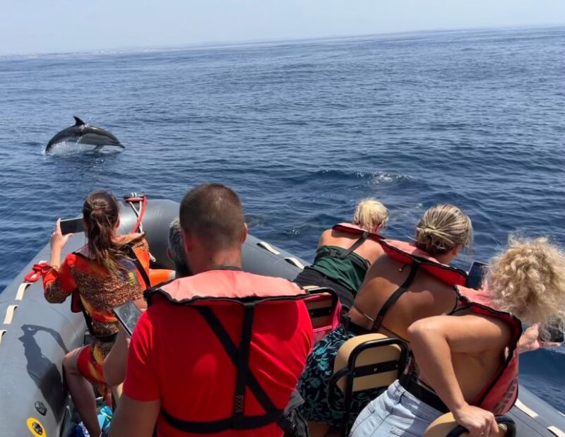 Lagoa: Dolphins Expedition with biologist guide on board - Safety and Environmental Responsibility on the Ocean Safari
