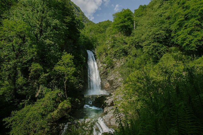 Lagodekhi - A day hiking from Tbilisi - Discover the Beauty of Lagodekhi on a Guided Day Hike from Tbilisi
