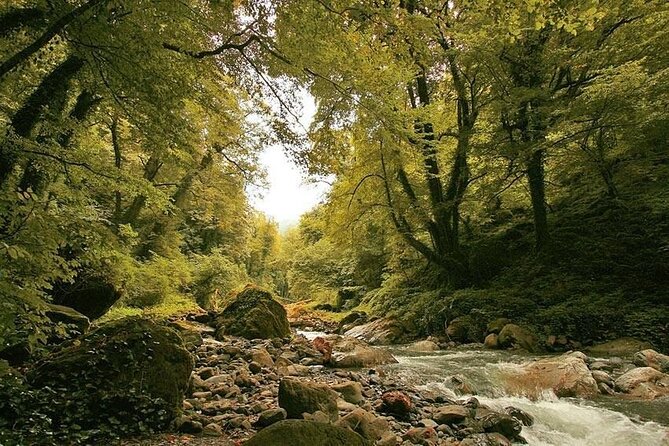 Lagodekhi - A day hiking from Tbilisi - How the Tour Begins: Pickup and Transport from Tbilisi