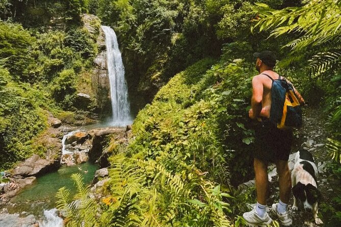 Lagodekhi - A day hiking from Tbilisi - Wildlife and Plant Spotting During the Hike