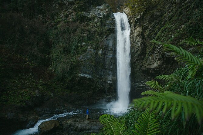 Lagodekhi - A day hiking from Tbilisi - Who Will Enjoy This Tour?