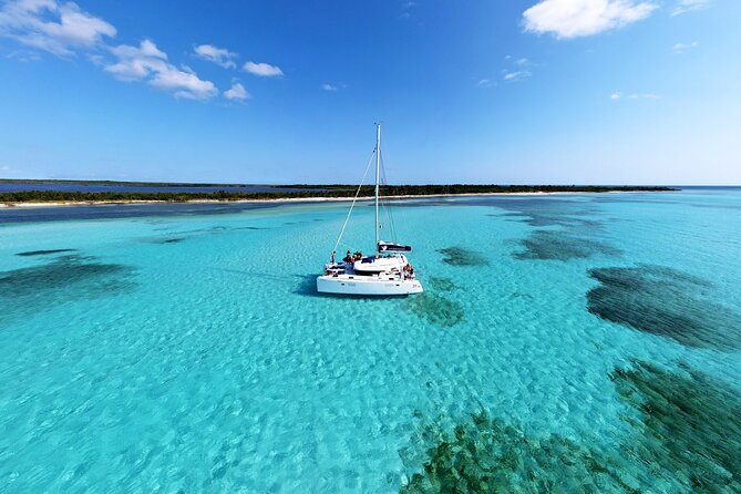 Lagoon 39ft Private Catamaran 5hr - El Cielo Full Experience - Marine Life Encounters at El Cielo and Surrounding Reefs