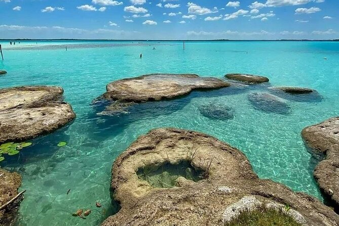 Lagoon of 7 colors from Costa Maya - Boat Tour and transportation - Practical Details: Booking, Cancellation, and Accessibility