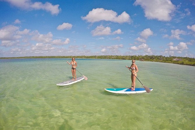 Lagoon Paddleboarding Tour in Tulum - Key Points