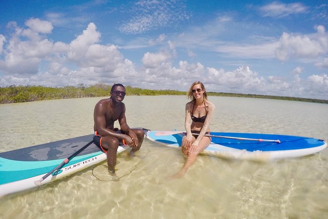 Lagoon Paddleboarding Tour in Tulum - Tasting Tulums Best Tacos After Paddleboarding