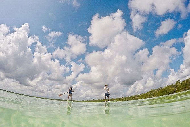 Lagoon Paddleboarding Tour in Tulum - The Logistics and Practicalities of the Tour