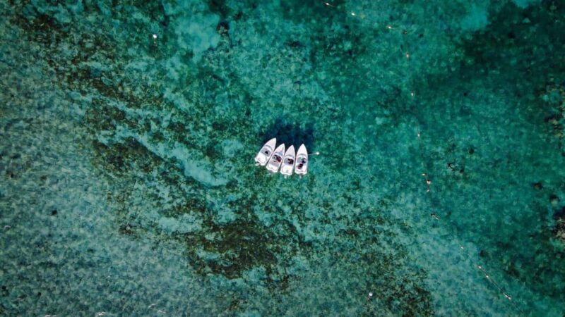 Lagoon ride and snorkeling - Key Points