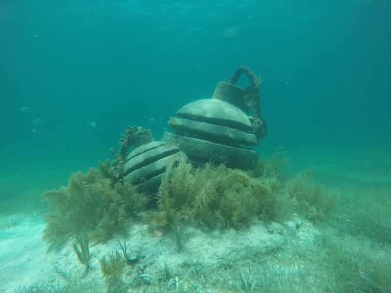Lagoon ride and snorkeling - Suitability and Physical Requirements