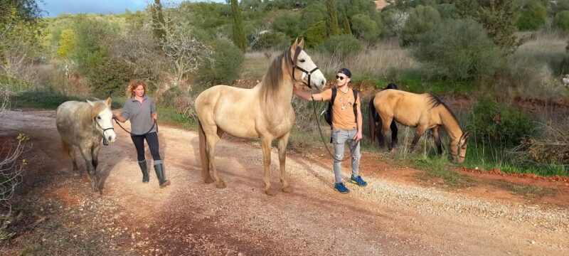 Lagos: A walk with a rescued horse at the sanctuary - Meeting Point and Access in Algarves Countryside