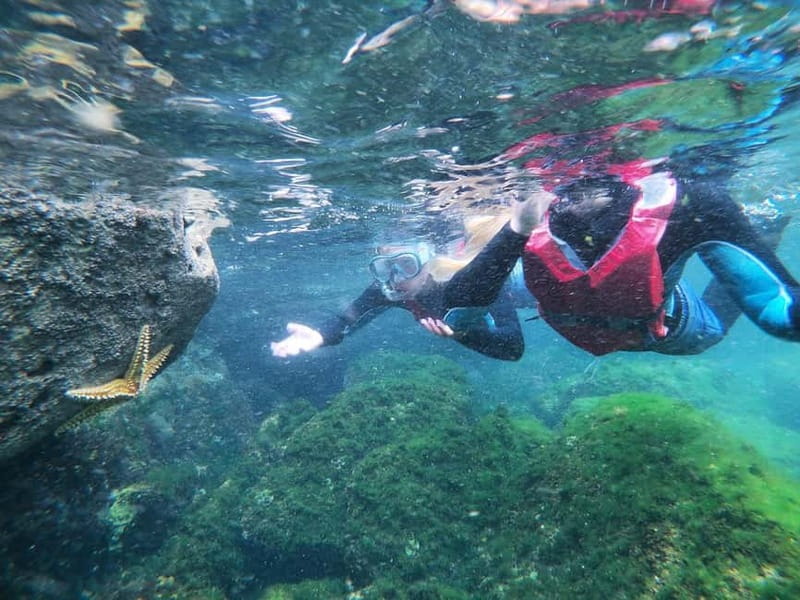 Lagos: Algarve Coasteering and Snorkeling Adventure - Safety and Equipment on the Tour