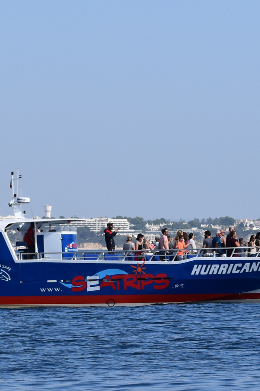 Lagos: Dolphin & Benagil Tour with Marine Biologist - Why This Tour Stands Out in Lagos