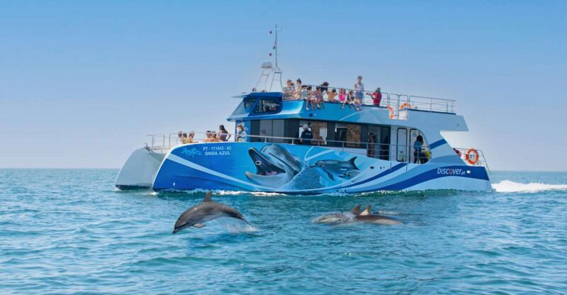 Lagos: Dolphin Watching Half-Day Cruise & Water Activities - Discover the Lagos: Dolphin Watching Half-Day Cruise & Water Activities