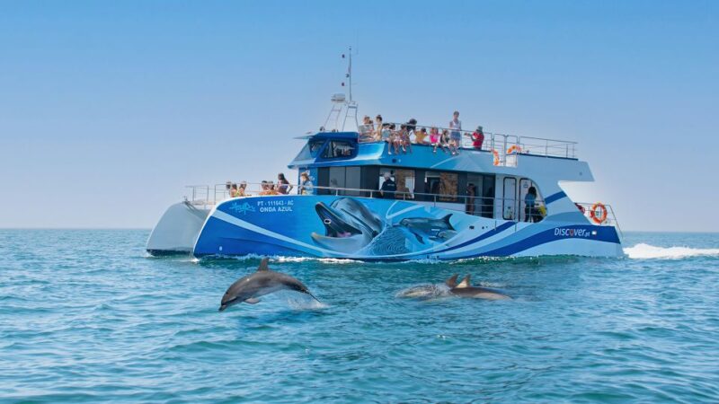 Lagos: Dolphin Watching Half-Day Cruise & Water Activities - Comfortable Seating and Shade on the Catamaran
