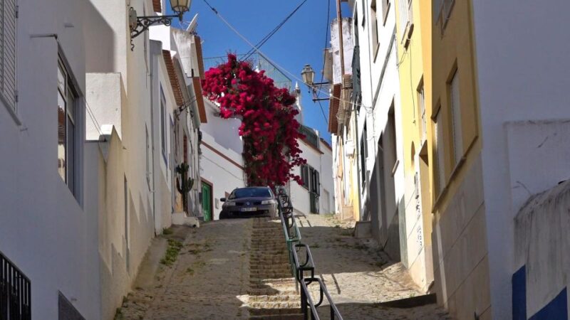 Lagos: Old Town, New Town, and Beaches Tuk Tuk Tour - From the Old Town to the Beaches and Rock Formations