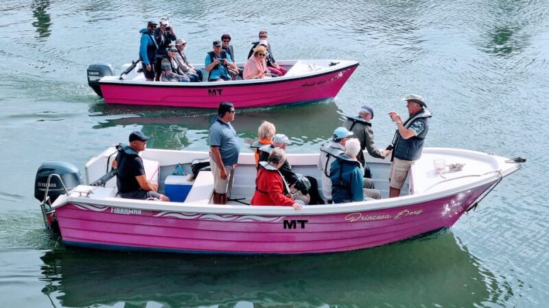 Lagos: Privat Trip up to 11 Pax to Grottos Ponta da Piedade - Practical Tips for a Comfortable Trip