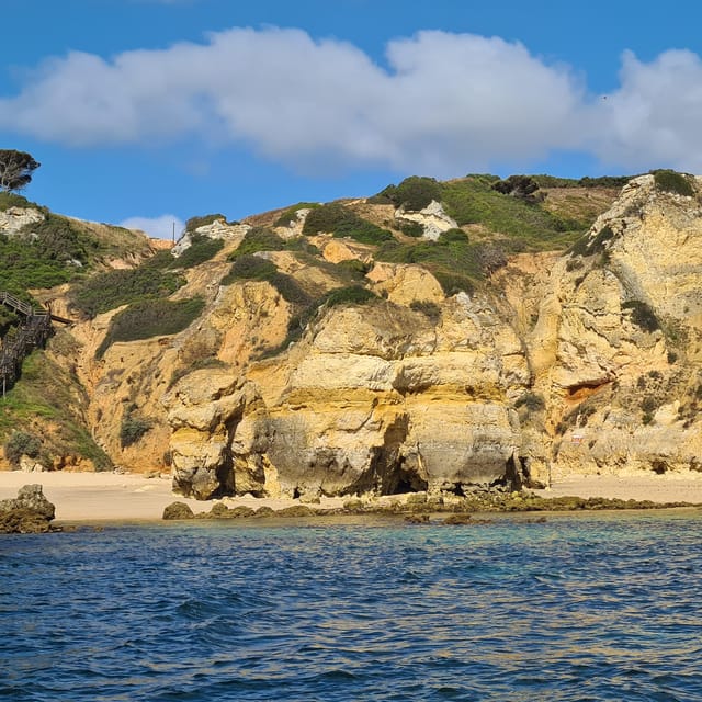 Lagos: Privat Trip up to 11 Pax to Grottos Ponta da Piedade - Meeting Point and End Location Details