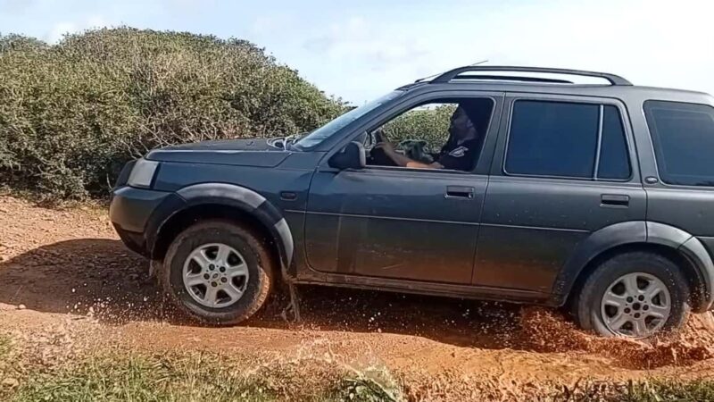 Lagos: South to West Safari Tour - Exploring the South Coast of Portugal: From Lagos to Sagres