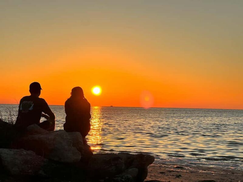 Lagos to Sagres Full-Day Guided Tour - Key Points