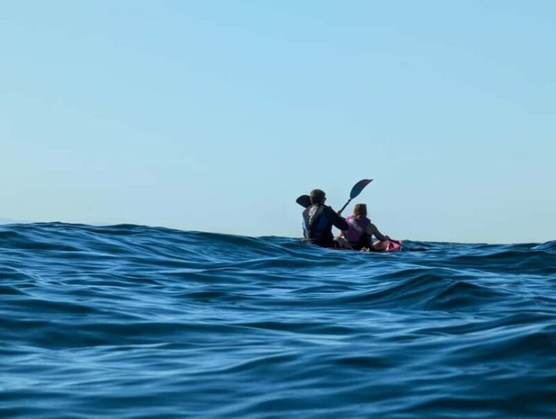 Laguna Beach: Ocean Kayak Private Tour with Guide - Photos and Memories: Capture Your Ocean Adventure