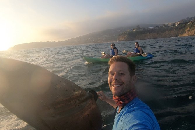 Laguna Beach Open Ocean Kayaking Tour with Sea Lion Sightings - What Makes the Laguna Beach Kayaking Tour Special