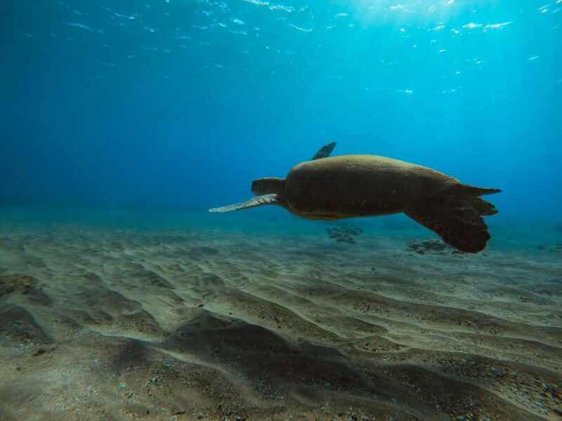 Lahaina: Kapalua Bay Eco Sea Scooter Tour with Guide - Starting Point at Kapalua Beach