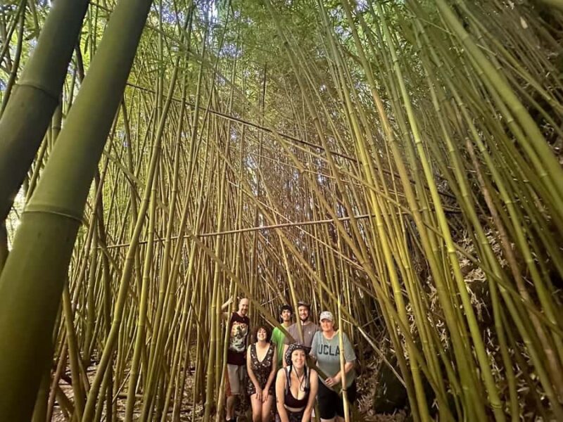 Lahaina-Kapalua: VIP Private Full-Day Road to Hana Tour - Key Points