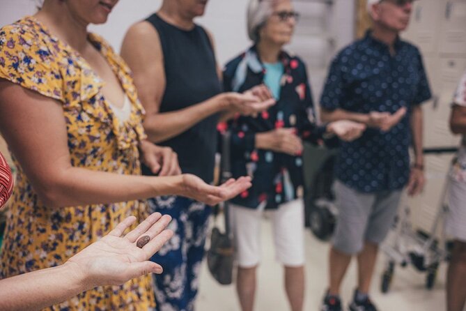 Lahaina Maui Ku'ia Estate Chocolate Factory Experience - Maui Kuia Estate Chocolate Factory: A Hands-On Look at the Chocolate-Making Process