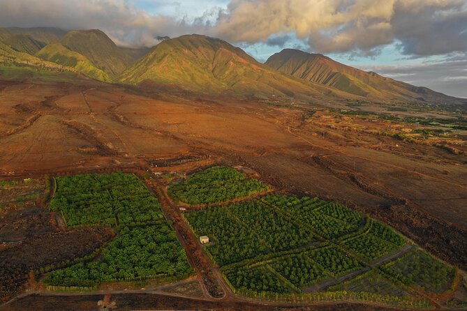 Lahaina: Maui Ku'ia Estate Guided Cacao Farm Tour and Tasting - The Personal Touch of the Guided Experience