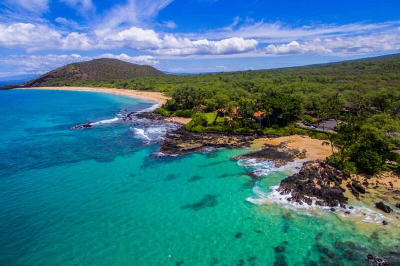 Lahaina: Stand Up Paddleboard Lesson - The Marine Wildlife You Might Encounter