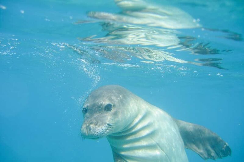 Lahaina: Stand Up Paddleboard Lesson - Why Choose This Paddleboard Lesson?