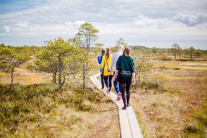 Lahemaa National Park Day Trip - Physical Activity and Pacing