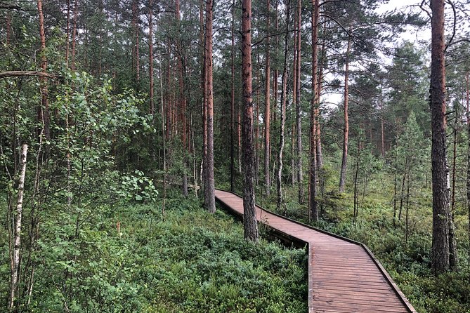 Lahemaa national park in Estonia - Starting Point and Tour Logistics in Tallinn