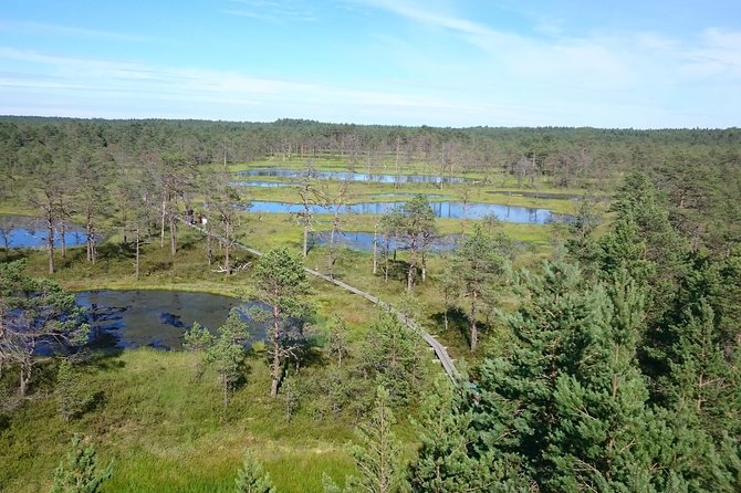 Lahemaa national park in Estonia - Discovering Kiiu Vassal Stronghold and Its Unique History