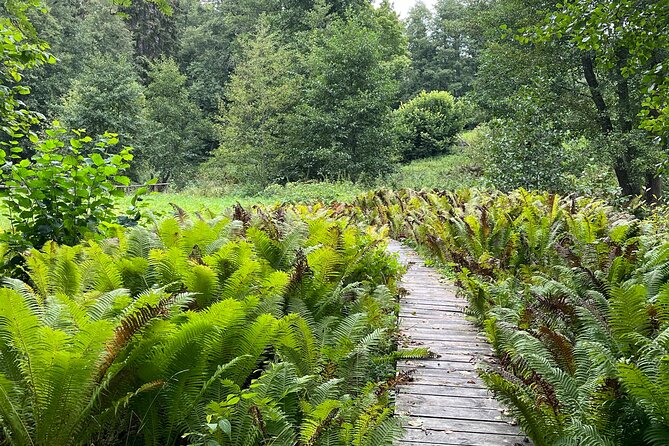 Lahemaa national park in Estonia - Walking the Beaver Trail and Watching Beavers in Action