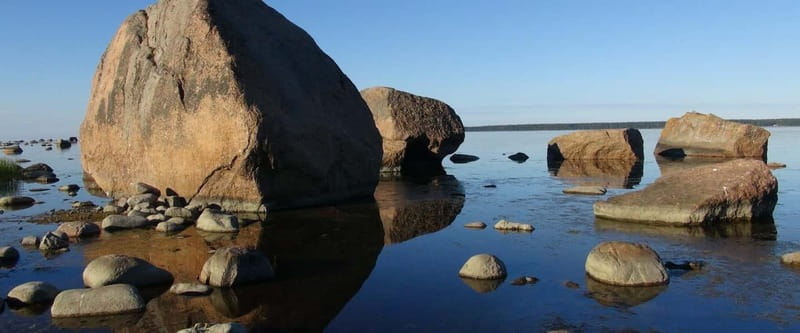Lahemaa: VIP Tour to Estonias Oldest National Park - Logistics and Group Experience